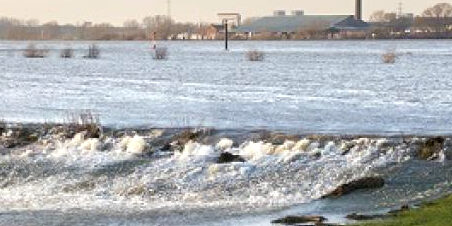 Organisatievernieuwing optimalisatie Waterschap 2021