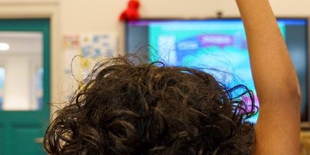 Provincie organisatieadvies 2021