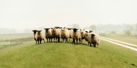 pablo-heimplatz-BQHDV90GLPo-unsplash